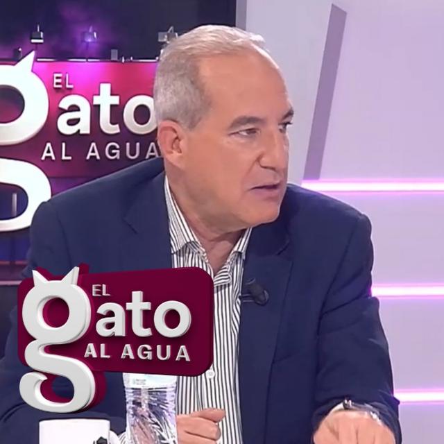 El Gato al Agua | 25/11/24 - podcast episode cover