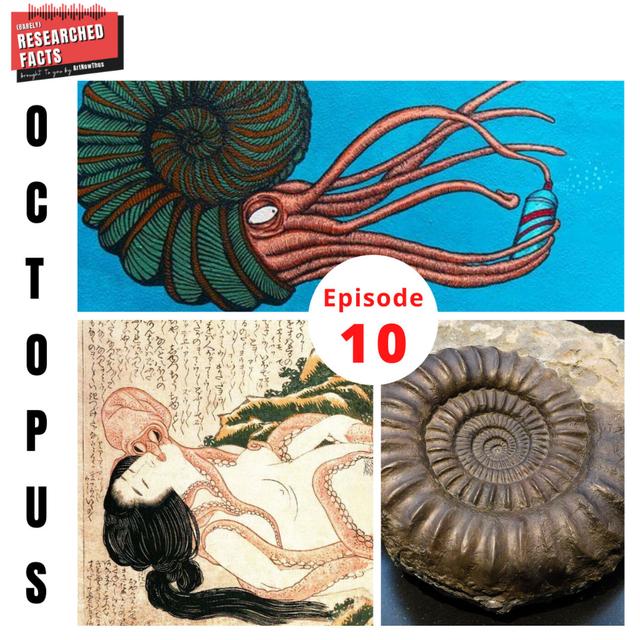BRF10: "Octopus" - podcast episode cover