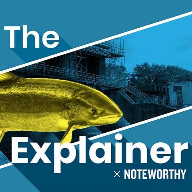 By Noteworthy: What is the environmental cost of hydropower? - podcast episode cover
