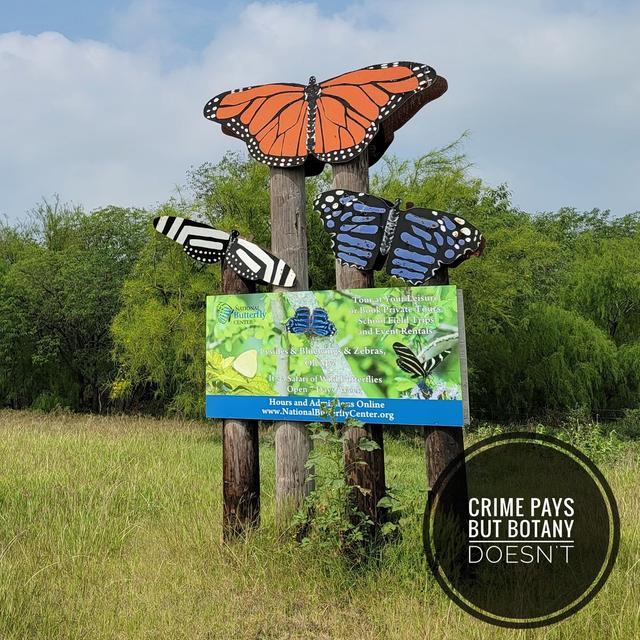Butterflies and Border Walls - podcast episode cover