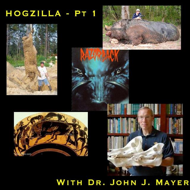 S03E06 - Hogzilla part 1 - podcast episode cover