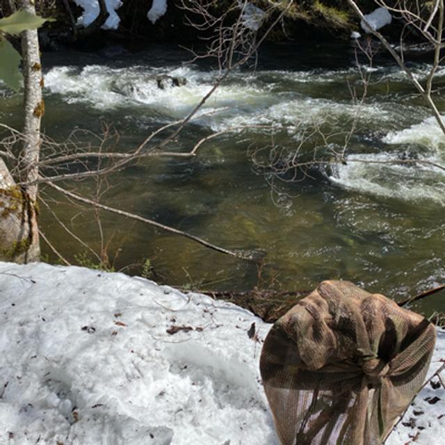 129: Late Winter Afternoon Beside Squaw Valley Creek - podcast episode cover