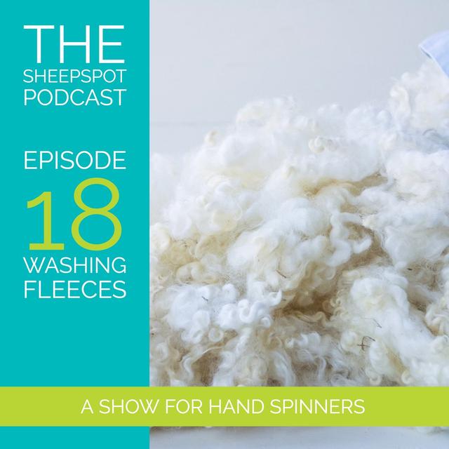 Episode 18: Washing Fleeces - podcast episode cover