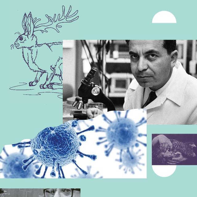 Cancer Virus Hunters: An Interview with Gregory J. Morgan - podcast episode cover