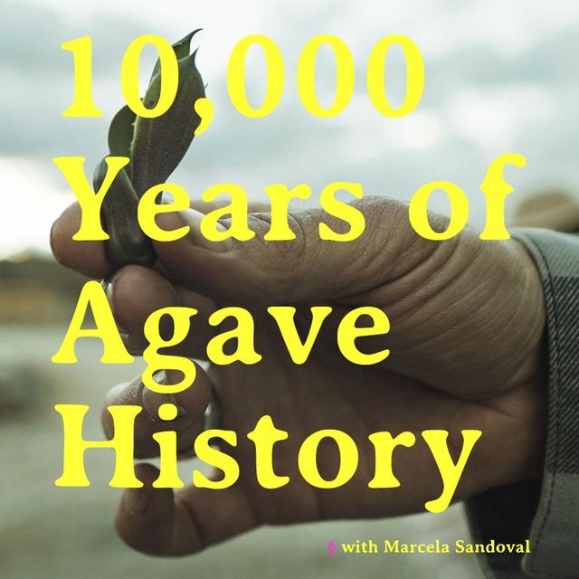 10,000 Years of Agave History - podcast episode cover