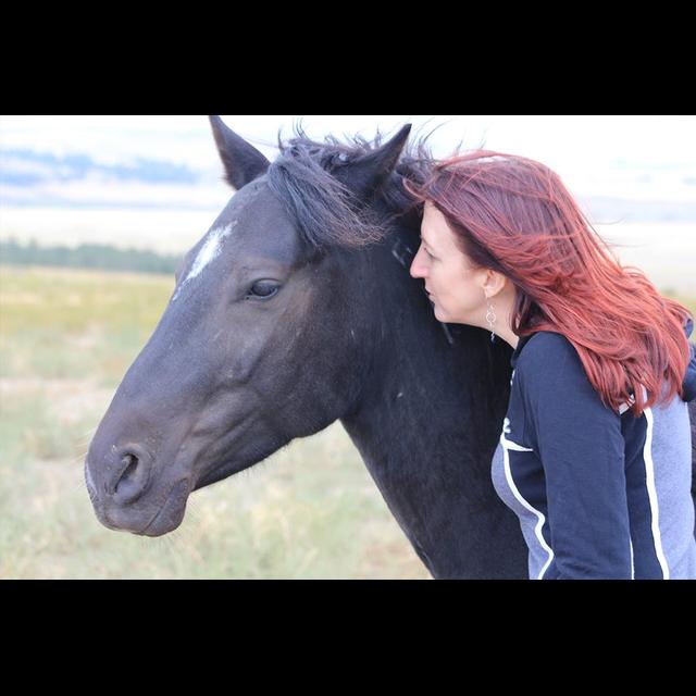 Episode 271: Animal Chaplain and Author Sarah Bowen - podcast episode cover
