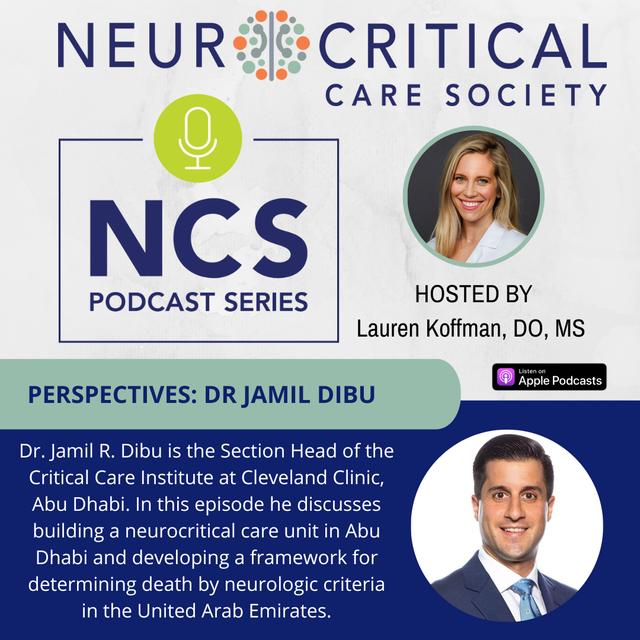 PERSPECTIVES: Dr Jamil Dibu - podcast episode cover