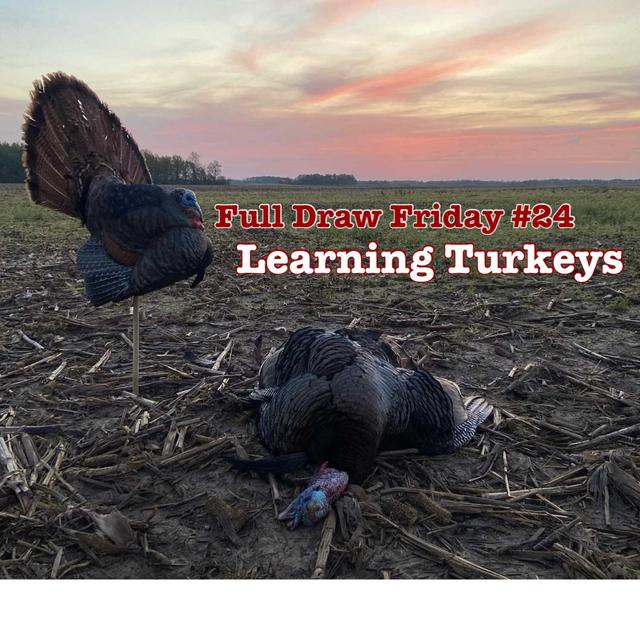 Learning Turkeys | Full Draw Friday #24 - podcast episode cover