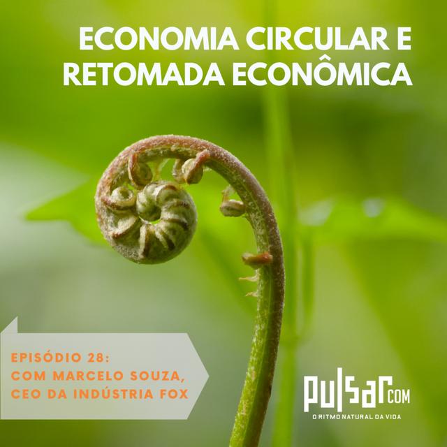 Economia circular e retomada econômica - podcast episode cover