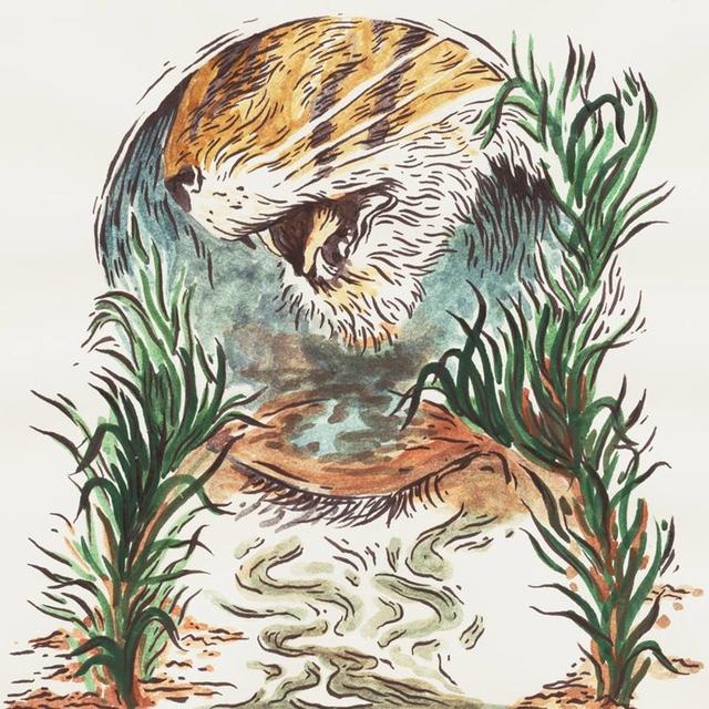 The Jungle Book - podcast episode cover