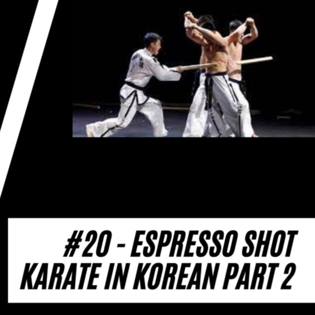 #26 ESPRESSO SHOT - Karate in Korea Part 2 - podcast episode cover