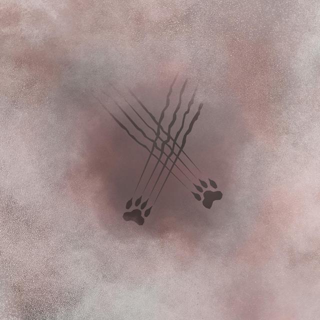 10 | Too Many Cats - podcast episode cover