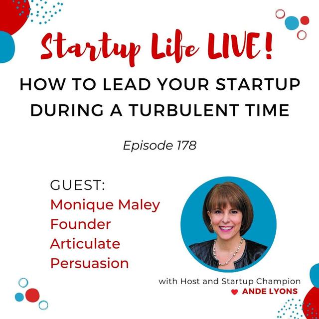 EP 178 How to Lead Your Startup During a Turbulent Time - podcast episode cover