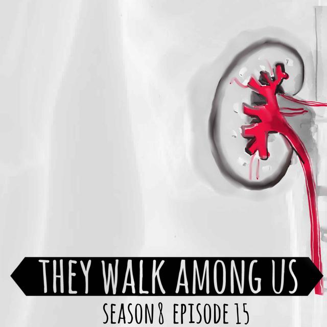 Organ Harvesting Scheme / Ike Ekweremadu & Dr Obinna Obeta - podcast episode cover