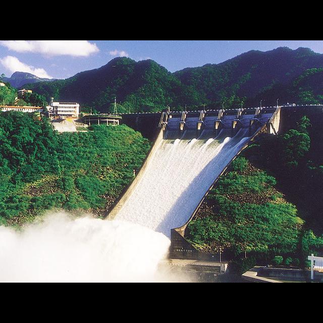 鄭運鵬楊麗環你們最強的對手是威胖！怕了吧 - podcast episode cover