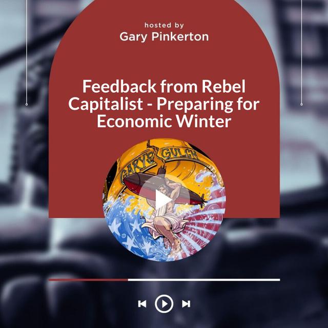 Feedback from Rebel Capitalist - Preparing for Economic Winter - podcast episode cover
