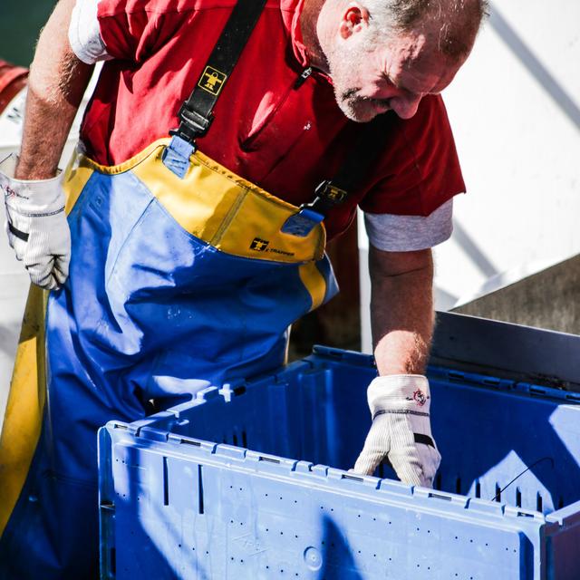 Fisheries and the fall of Chevron - podcast episode cover