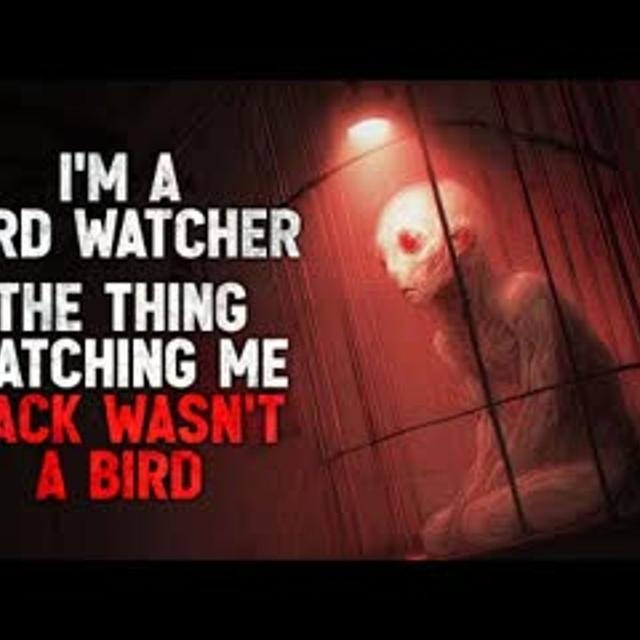 "I’m a Bird Watcher. But the Thing Watching Me Back in the Trees Wasn’t a Bird." Creepypasta - podcast episode cover
