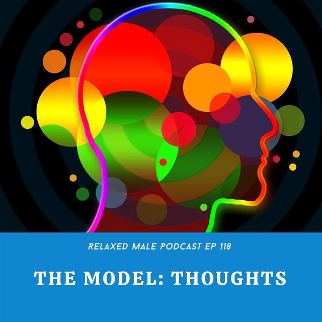 The Model: Thoughts - podcast episode cover