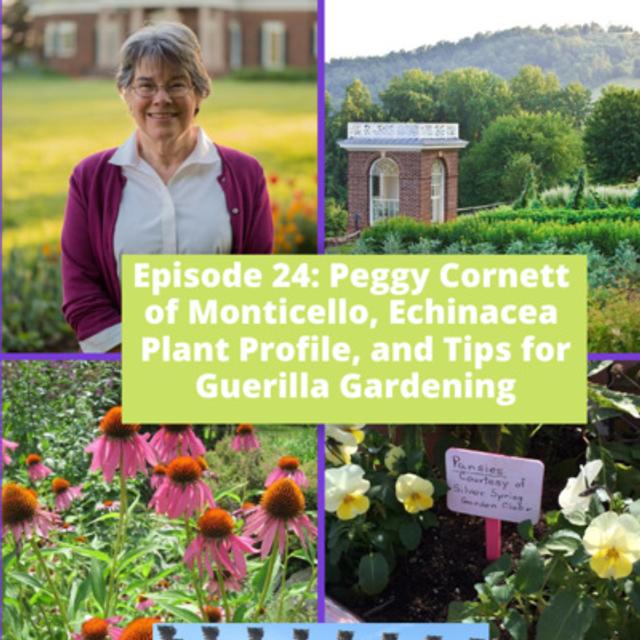 Peggy Cornett of Monticello , Echinacea Plant Profile, and Tips for Guerilla Gardening - podcast episode cover