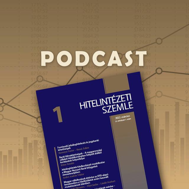 Mi az adatvagyon szerepe a pénzügyi szektorban? - Hitelintézeti Szemle podcast - podcast episode cover