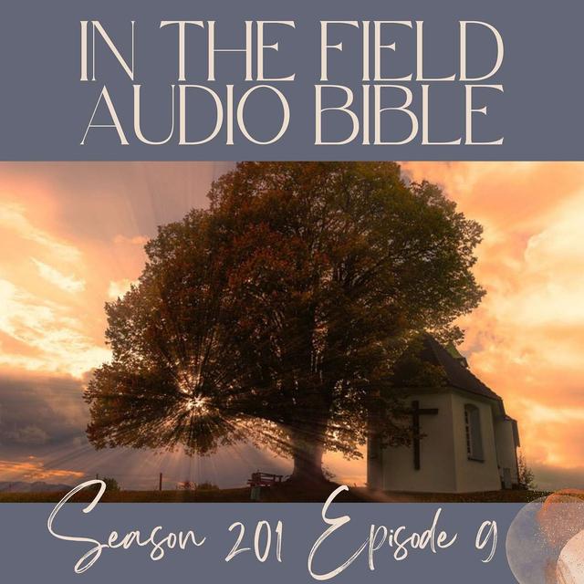 Holy Ground: When Burning Bushes Don't Burn Out - podcast episode cover