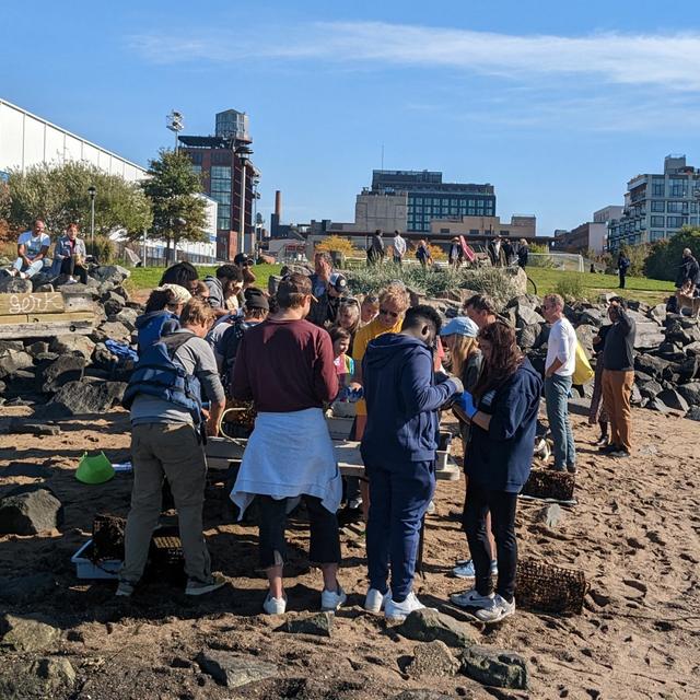 Restoring New York Harbor with a billion oysters - podcast episode cover