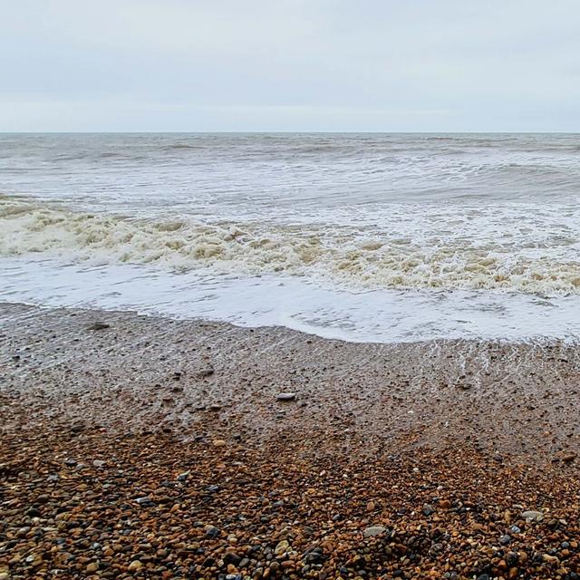 268 A wild ocean above ancient tree stumps - podcast episode cover