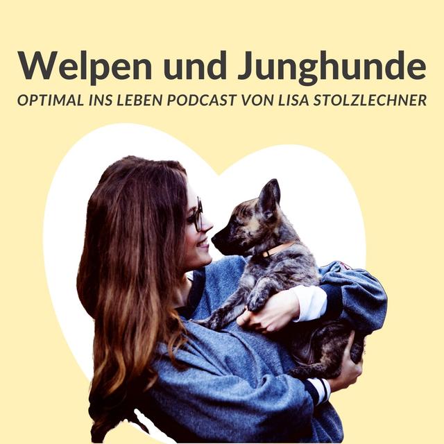 Hundebuddies - welche Art von Hundekontakt Welpen und Junghunde benötigen - podcast episode cover