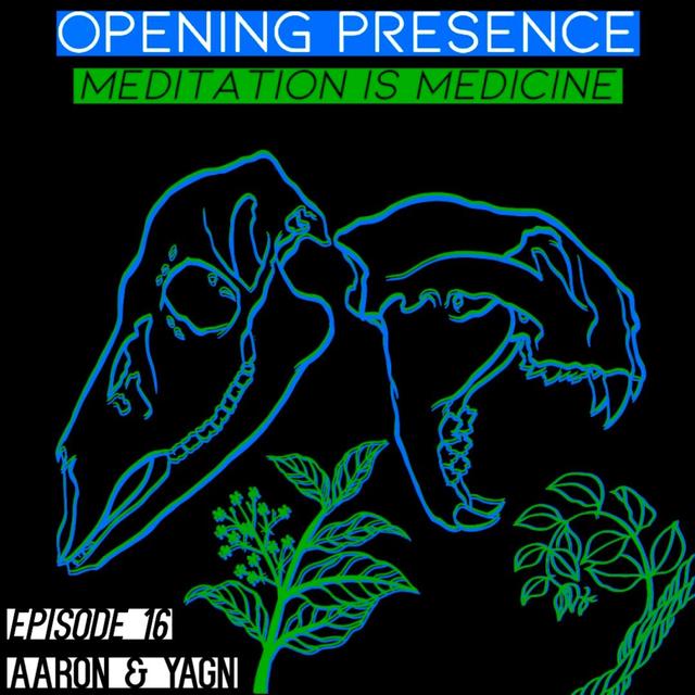 Ep. 16 YAGN: Meditation is Medicine - podcast episode cover