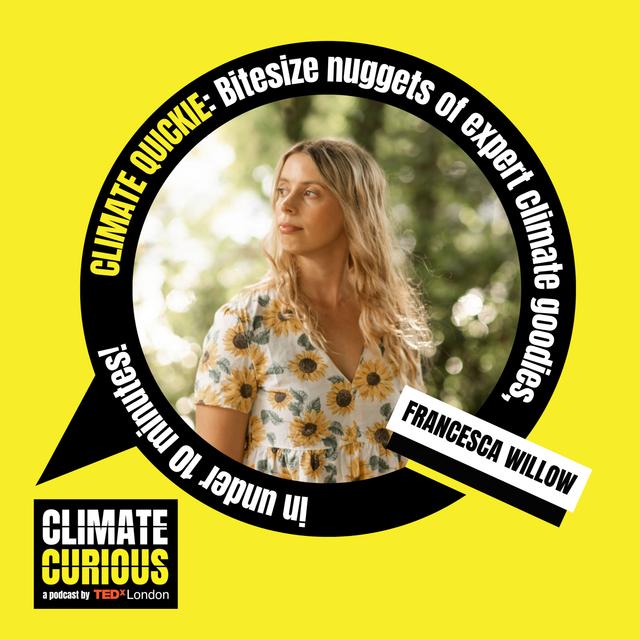 Why time’s up for pollution promoters - podcast episode cover