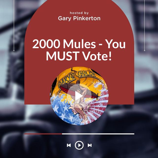 2000 Mules - You MUST Vote! - podcast episode cover