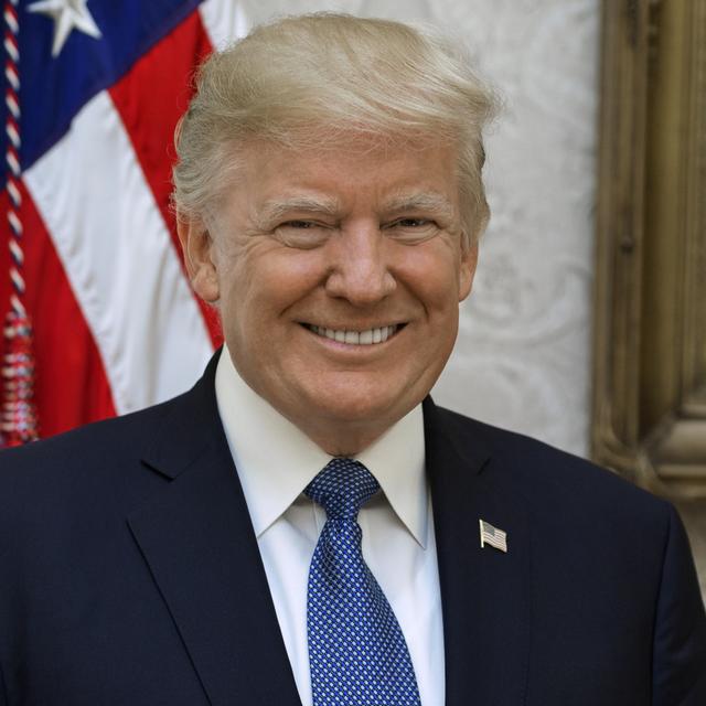 Donal Trump ~ Top 10 Stocks in his Portfolio - podcast episode cover