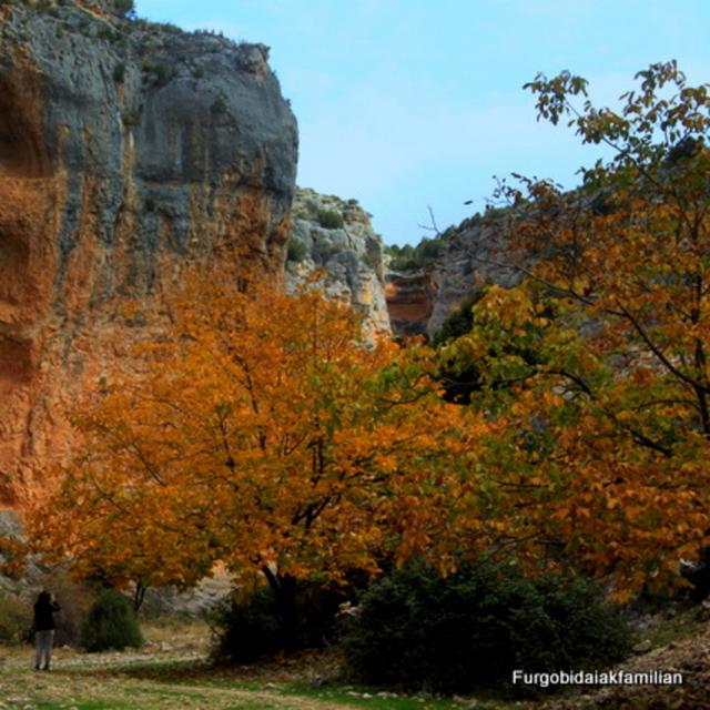 Los Viajes de Nautilus 02x09 - Escapada otoñal por tierras de Aragón - podcast episode cover