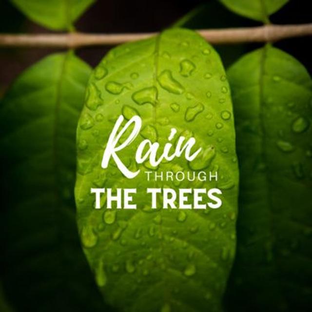 Rain Through the Trees: Relaxing Rain Sound - podcast episode cover