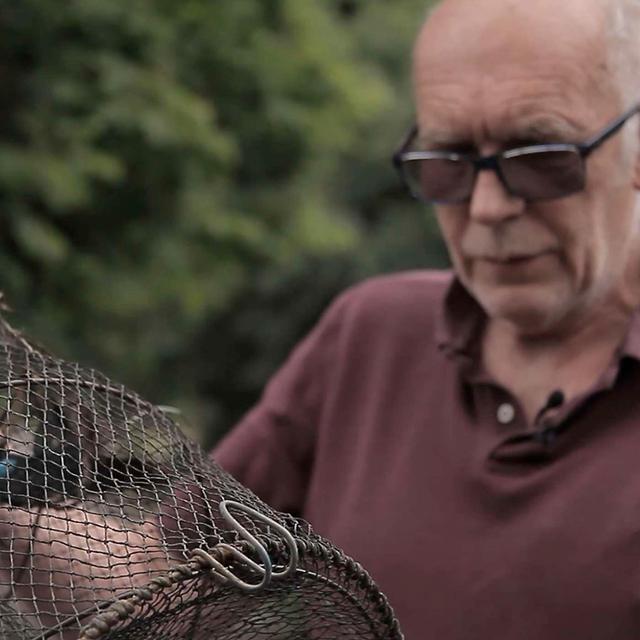 Eating invasive crayfish - a solution to our ecological mess? - podcast episode cover