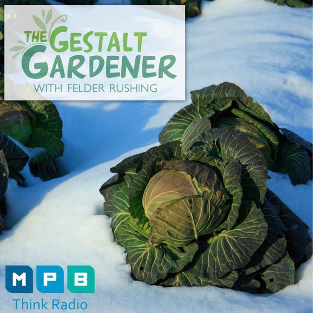 The Gestalt Gardener | Seize The Gardening Day - podcast episode cover