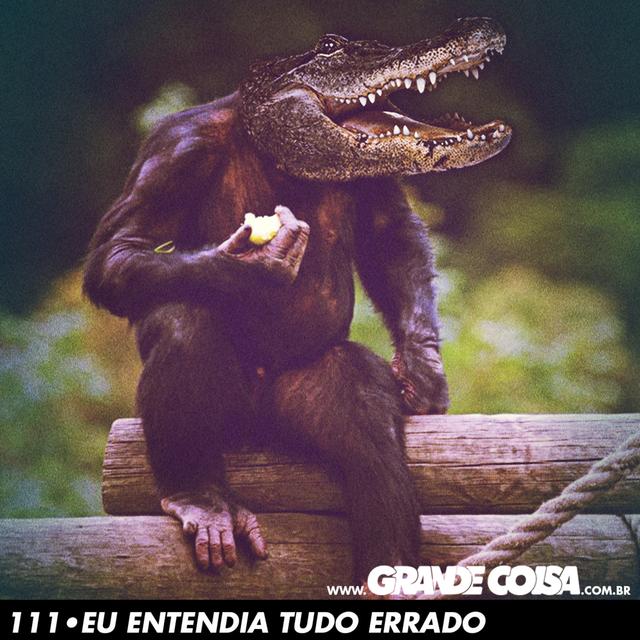 GC 111 | EU ENTENDIA TUDO ERRADO - Grande Coisa - podcast episode cover