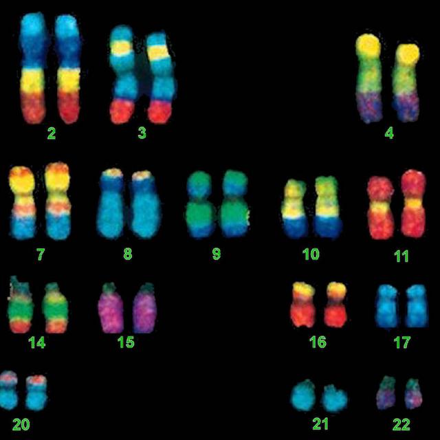 #77 — The Moral Complexity of Genetics - podcast episode cover
