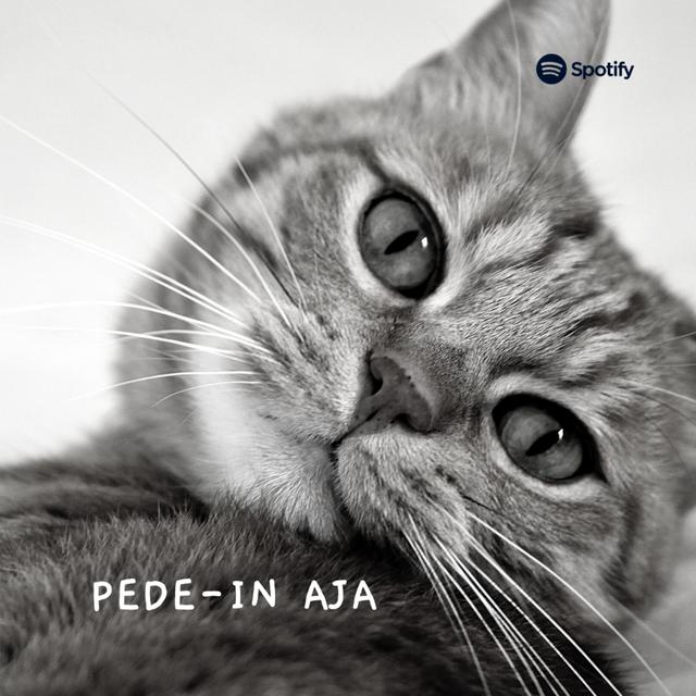 PeDe-in aja - podcast episode cover