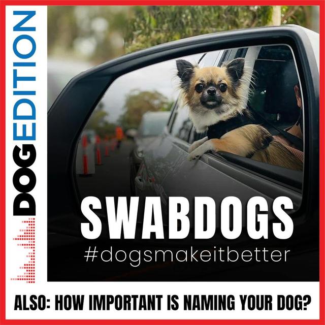 Swabdogs Put Smiles On Dials | How Important Is Naming Your Dog? | Dog Edition #26 - podcast episode cover