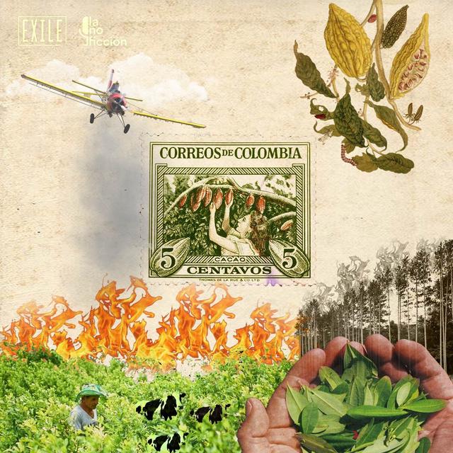 De la coca al cacao - podcast episode cover