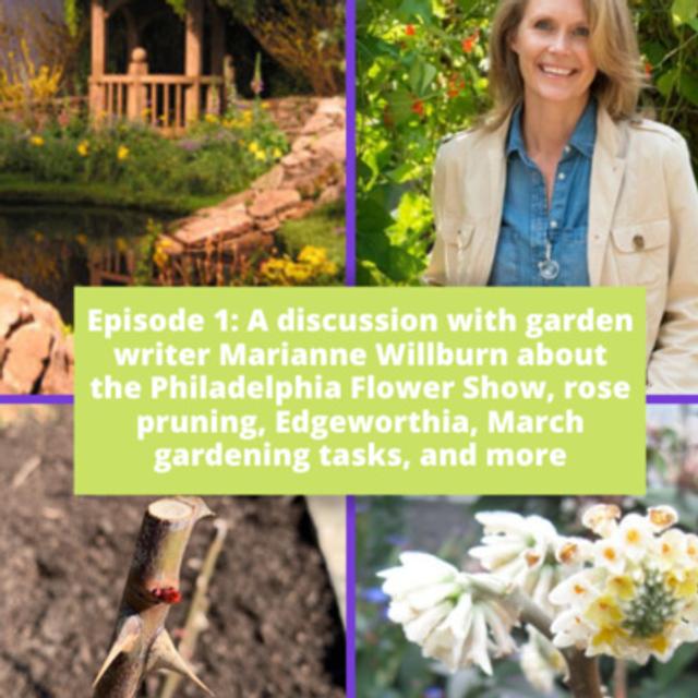 Philadelphia Flower Show - podcast episode cover