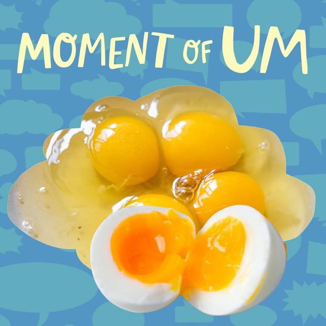 Why am I allergic to raw egg but not cooked egg? - podcast episode cover