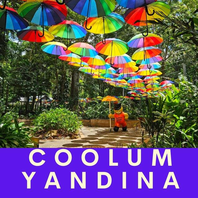 91. Coolum Beach and Yandina, Sunshine Coast, Queensland - podcast episode cover