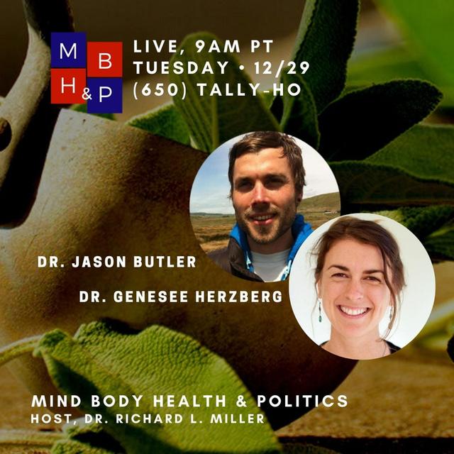 Psychedelic Psychotherapy - podcast episode cover