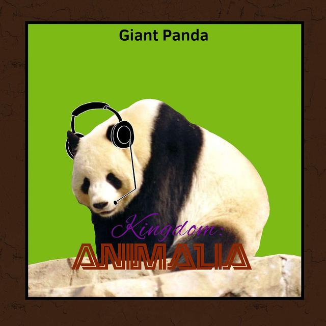 Giant Panda - podcast episode cover
