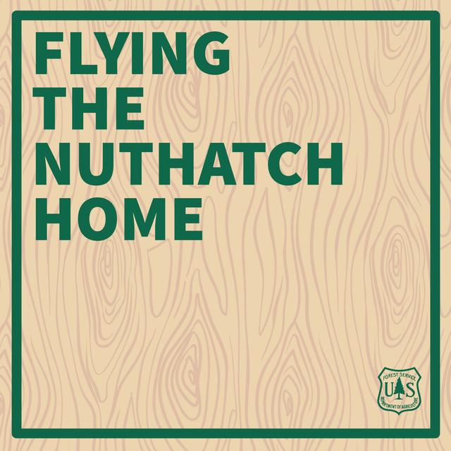 Flying the Nuthatch Home - podcast episode cover