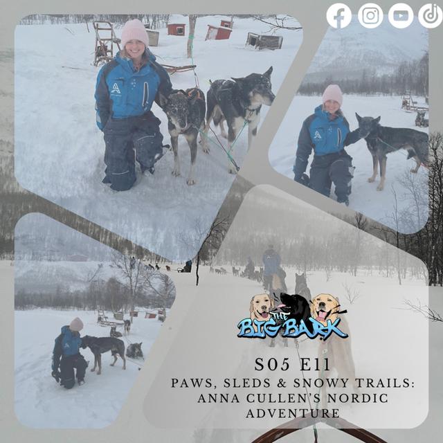 The Big Bark - S05E11 Episode #88 - Paws, Sleds & Snowy Trails - podcast episode cover