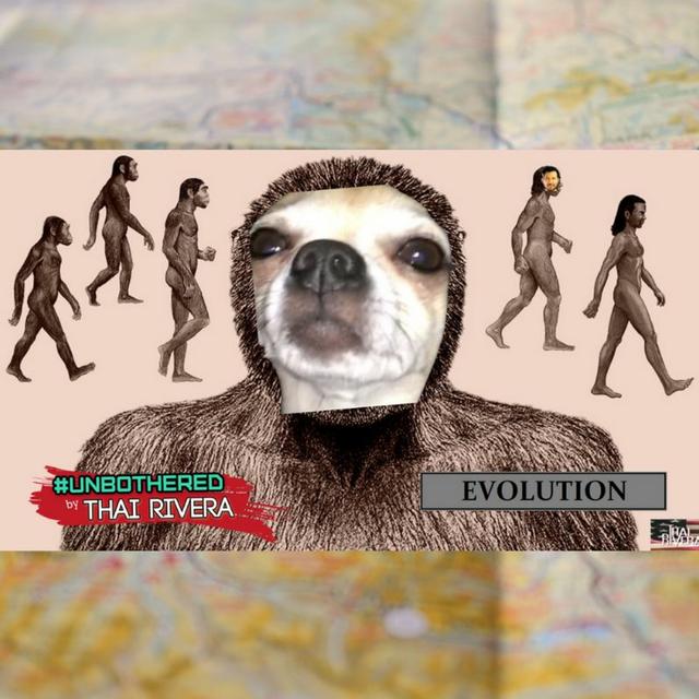 Evolution ~ Unbothered by Thai Rivera - podcast episode cover